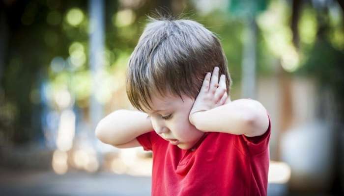 Autizm spektruma yanaşmasında Azərbaycanda uğurlar –  İnteqrativ tibbin rolu