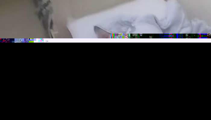 9 övladdan 6-sı qazdan zəhərləndi -  VİDEO