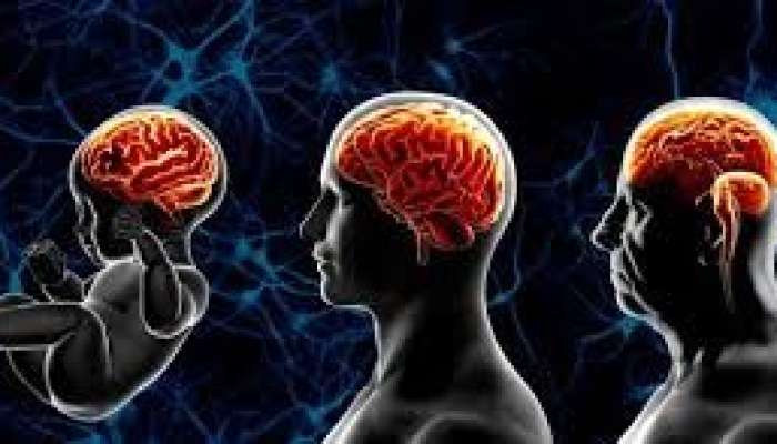 Bu məşqlər beyin qocalmasını yavaşıladır 