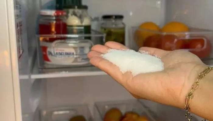 Soyuducuya duz qoymağın  faydaları