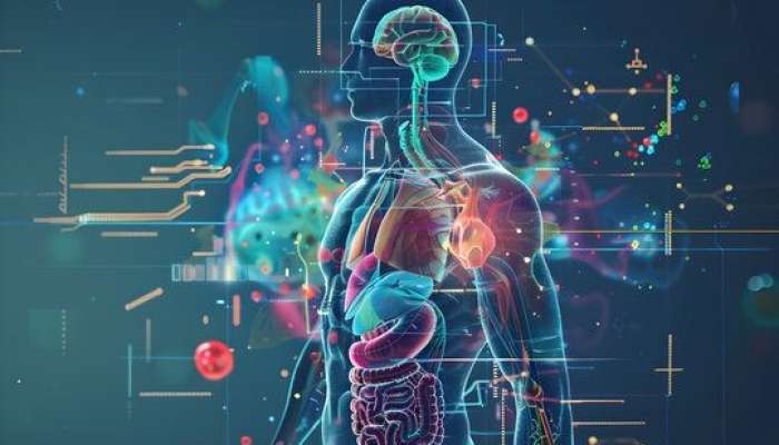 Xroniki xəstəliklər niyə sağalmır? -  Səbəbi tapmadan müalicə mümkün deyil