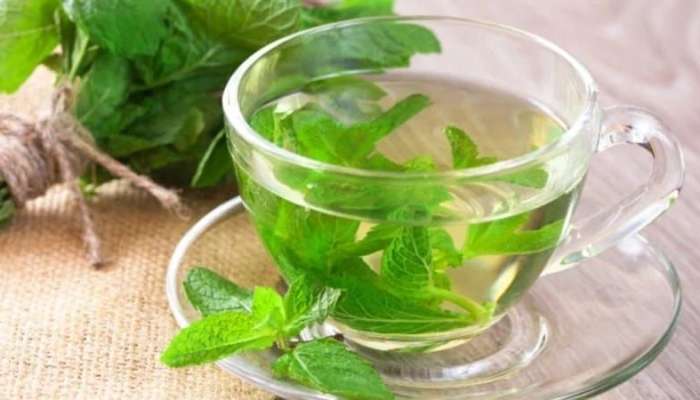 Bədəniniz sizə təşəkkür edəcək:  Nanə suyu içməyin 5 faydası