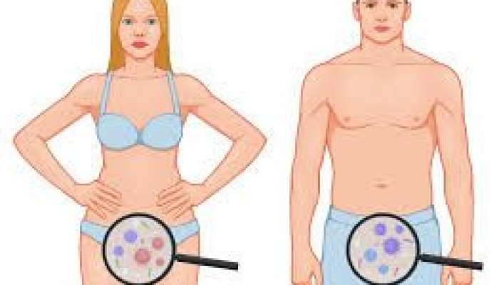 Hansı cinsi infeksiya daha qorxuludur? 