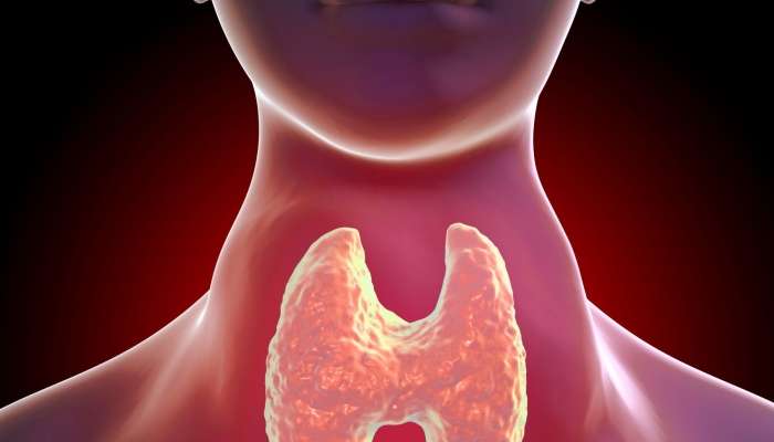 Zob xəstəliyində radioaktiv yod həmişə vacibdirmi? –  Mütəxəssislər fərqli yanaşmaları izah edir