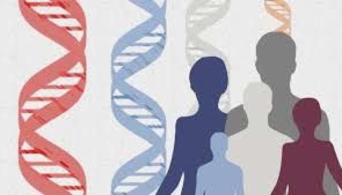 Nəsildən-nəsilə keçən xəstəliklər   - Gizli risklər