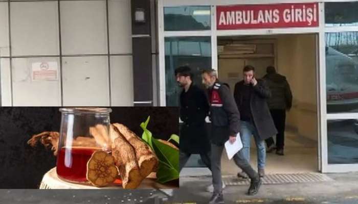 Yusuf Güneyin həbsinə səbəb olan Ayahuasca çayı nədir? -  Qadağandırmı?