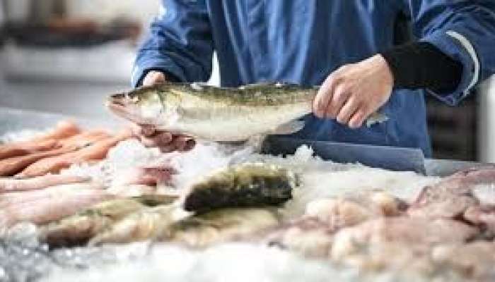 Qaraciyər buna dözmür  – Ən təhlükəli balıq