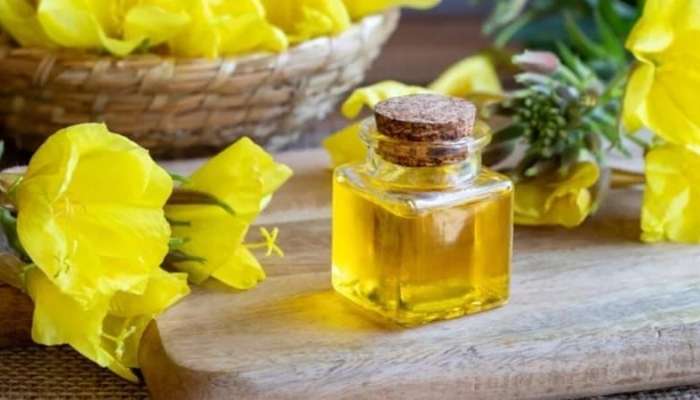 Təbiətin qızıl resepti:  Novruzçiçəyi yağı haqqında bilməli olduqlarınız