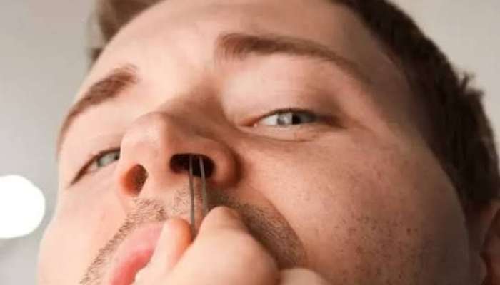 Burun tüklərini təmizləmək olmaz:  Səbəb