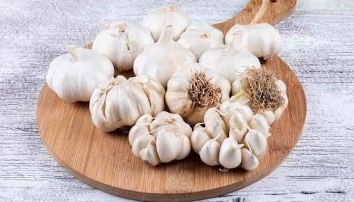  Sarımsağı bu cür saxlamaq lazımdır -  2 il təzə qalacaq