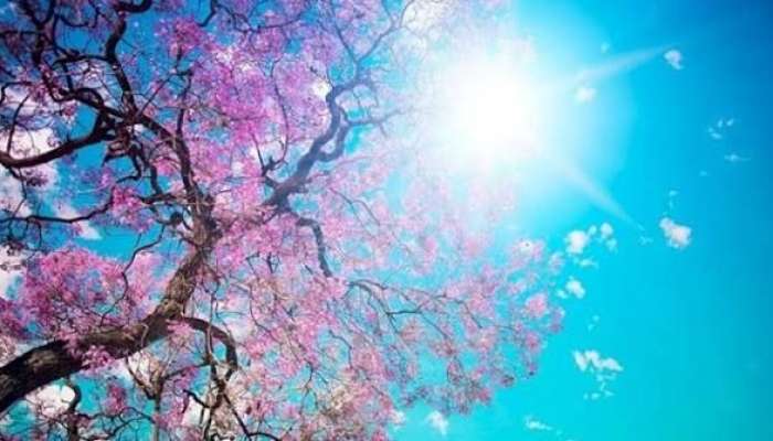 Sabahın hava proqnozu 