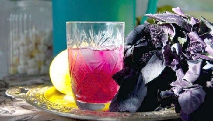 Həkimlərdən məsləhət   – Reyhan çayı için