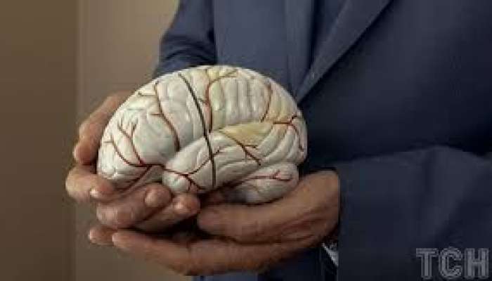 35 yaşdan sonra beynimizdə nə baş verir? 