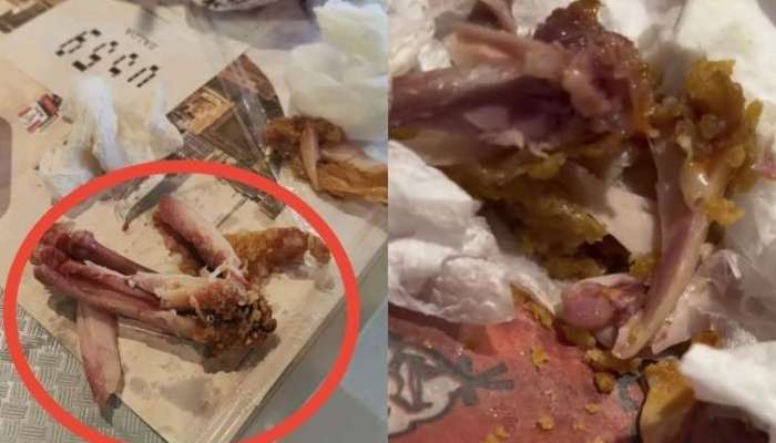 KFC müştərilərə qanlı toyuq satır? -  FOTO