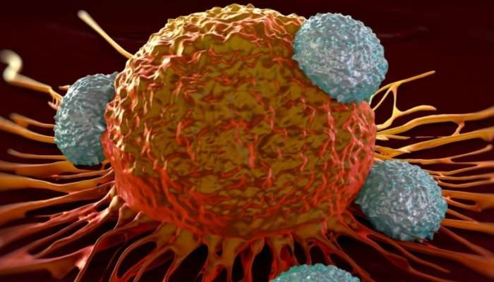 Keçirilmiş koronavirus xərçəngə səbəb olurmu? 