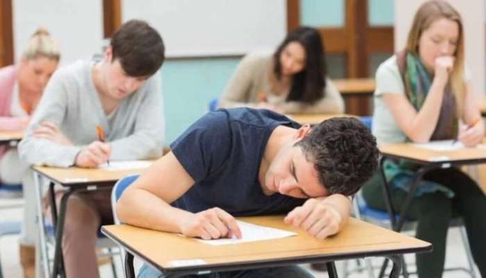 İmtahan səhəri bu qidaları yeyin -  Yüksək nəticə üçün...