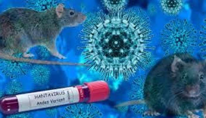 Hantavirus Azərbaycana keçəcəkmi? 