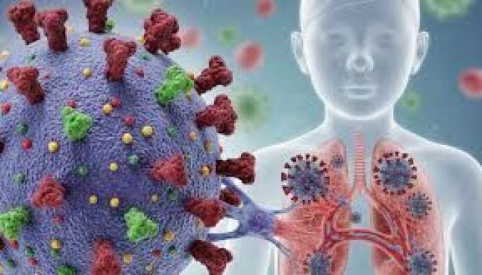 Yeni Hantavirusun müalicəsi varmı - Antibiotik, yoxsa kovid dərmanları?