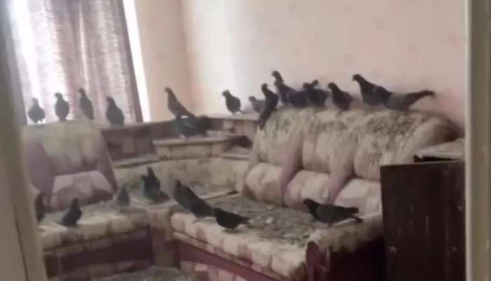Pəncərələri 3 il açıq qoydu -   Qayıtdığında peşman oldu-FOTO