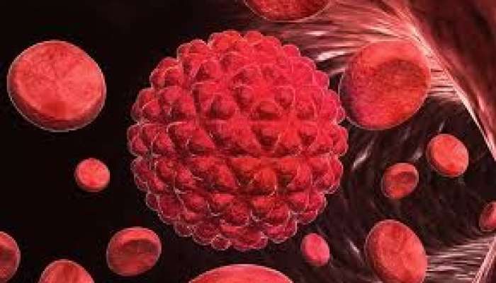 Alimlər şişi bədəndən kənarda 10 gün canlı     saxladılar