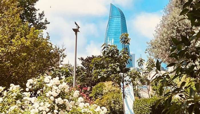 Sabahın havası 