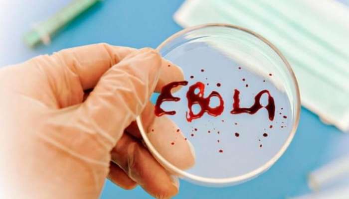 Ebola yayılır     - 1 gündə 15 nəfər öldü