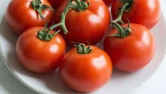 Yayda bol pomidor yeyin  – Xərçəngdən qoruyur 