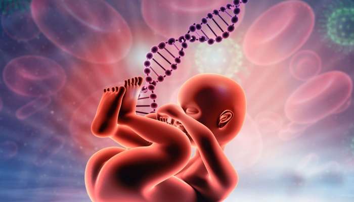 NIPT testi:  Körpənin genetik sağlamlığını qiymətləndirən müasir analiz