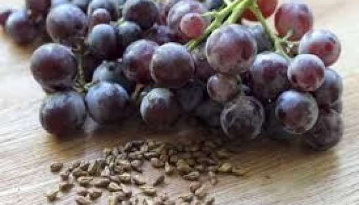 Üzümün ən faydalı hissəsi qabığıdır 
