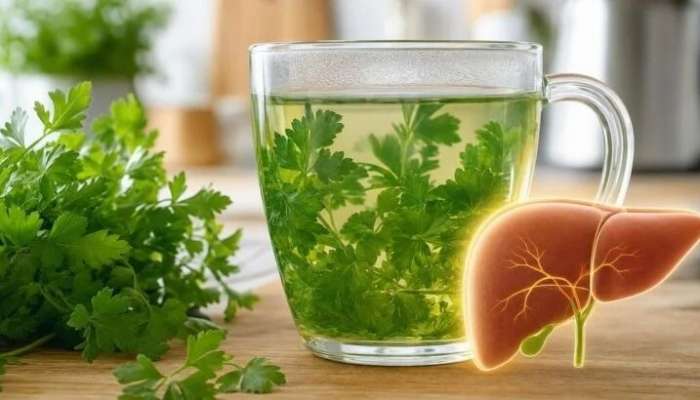 Cəfəri çayı qaraciyər piylənməsinə kömək edirmi? 