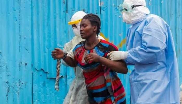 Ebola virusu tüğyan edir 