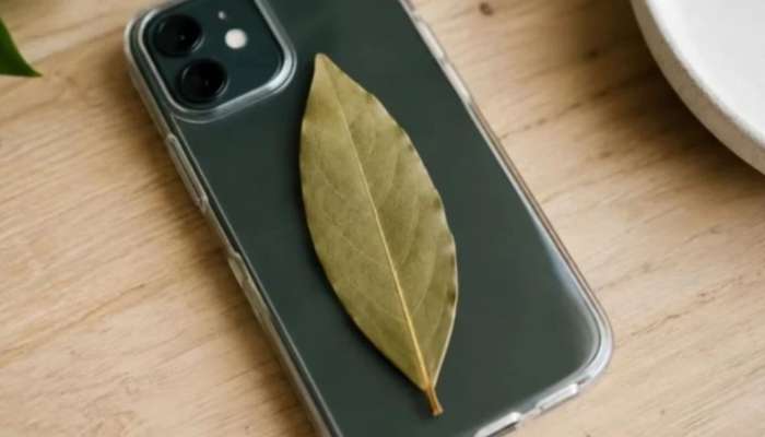 Telefon qabında dəfnə yarpağı saxlamaq...:  Səbəbi budur