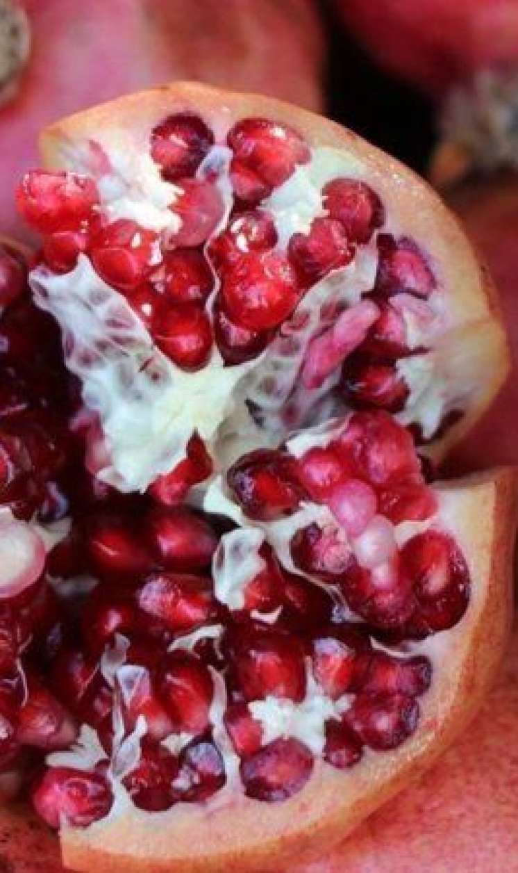 Nardakı ağ pərdə özü qədər faydalıdır 