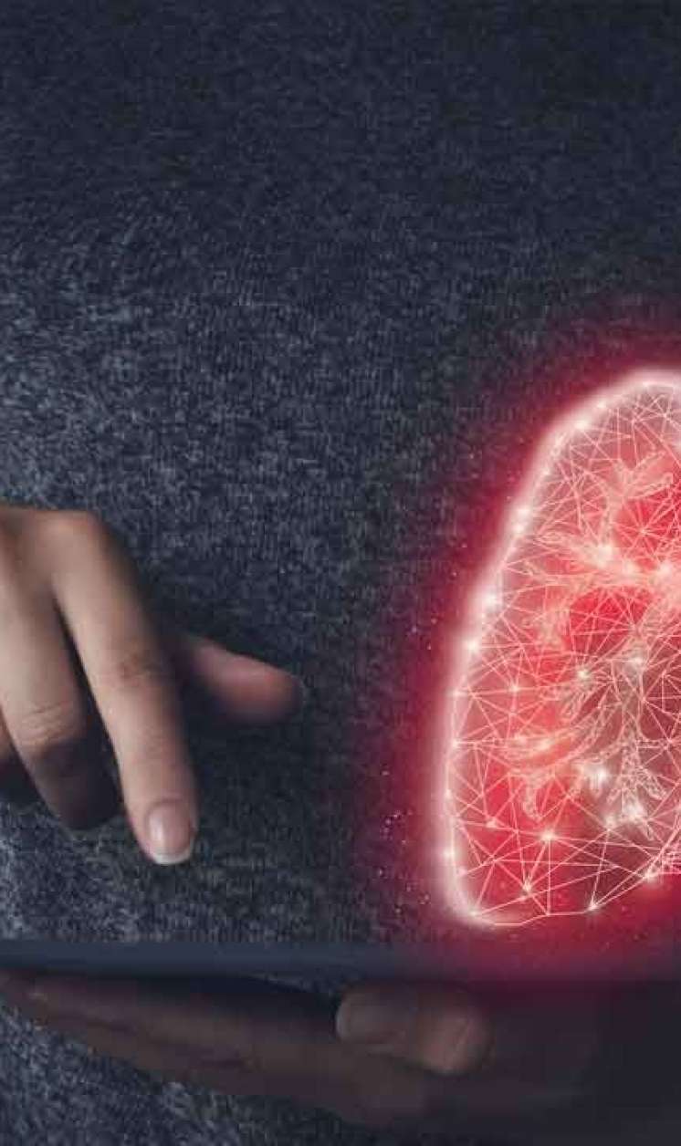 Ağciyərin gizli dərmanı mətbəxdədir:  Təbii təmizləmə resepti