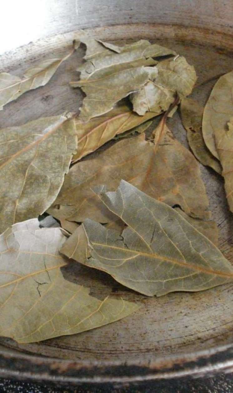 Avokado yarpaqlarını qaynadıb için -  Faydaları