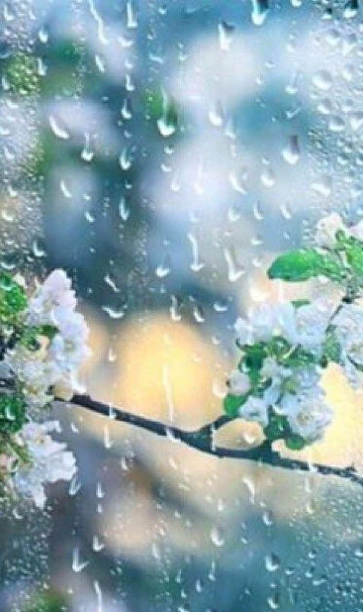 Martın ilk gününə olan hava proqnozu 