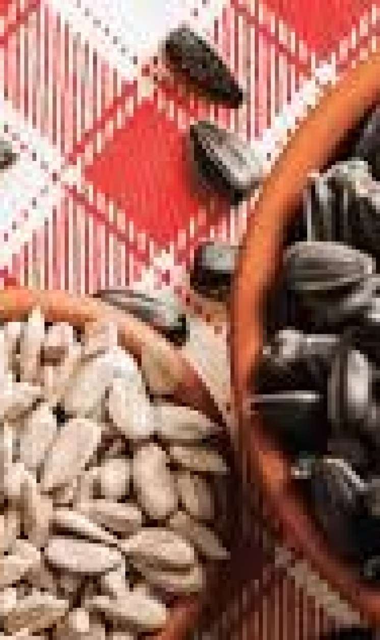 Günəbaxan tumları əsəb və ürək üçün    faydalı imiş