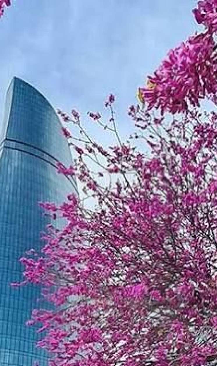 Şənbə gününün  hava proqnozu