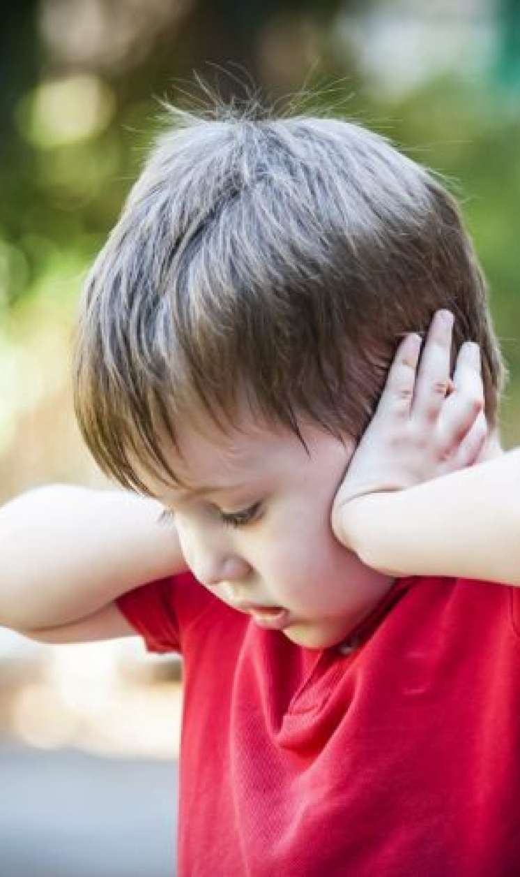 Autizm spektruma yanaşmasında Azərbaycanda uğurlar –  İnteqrativ tibbin rolu