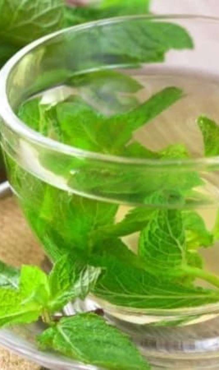 Bədəniniz sizə təşəkkür edəcək:  Nanə suyu içməyin 5 faydası