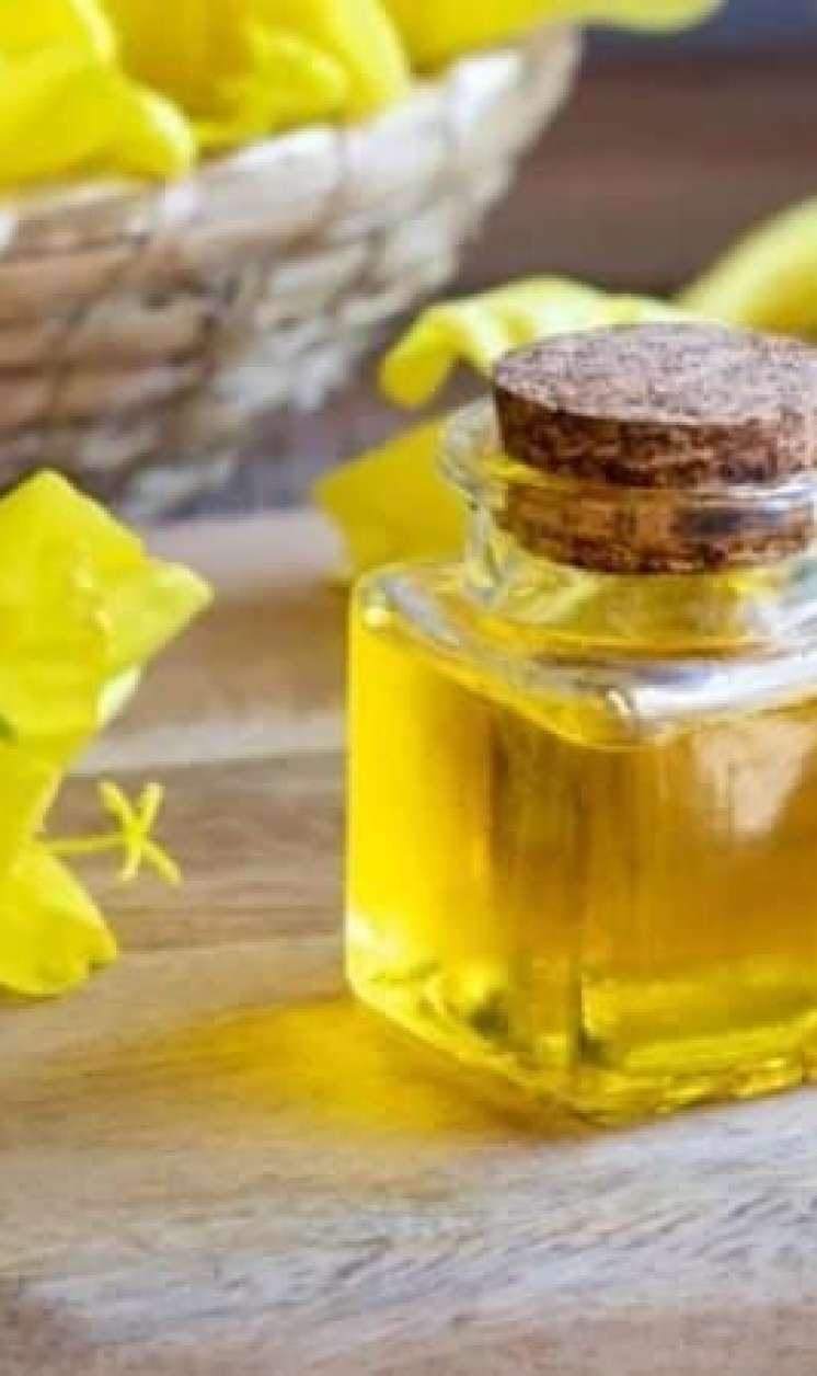 Təbiətin qızıl resepti:  Novruzçiçəyi yağı haqqında bilməli olduqlarınız
