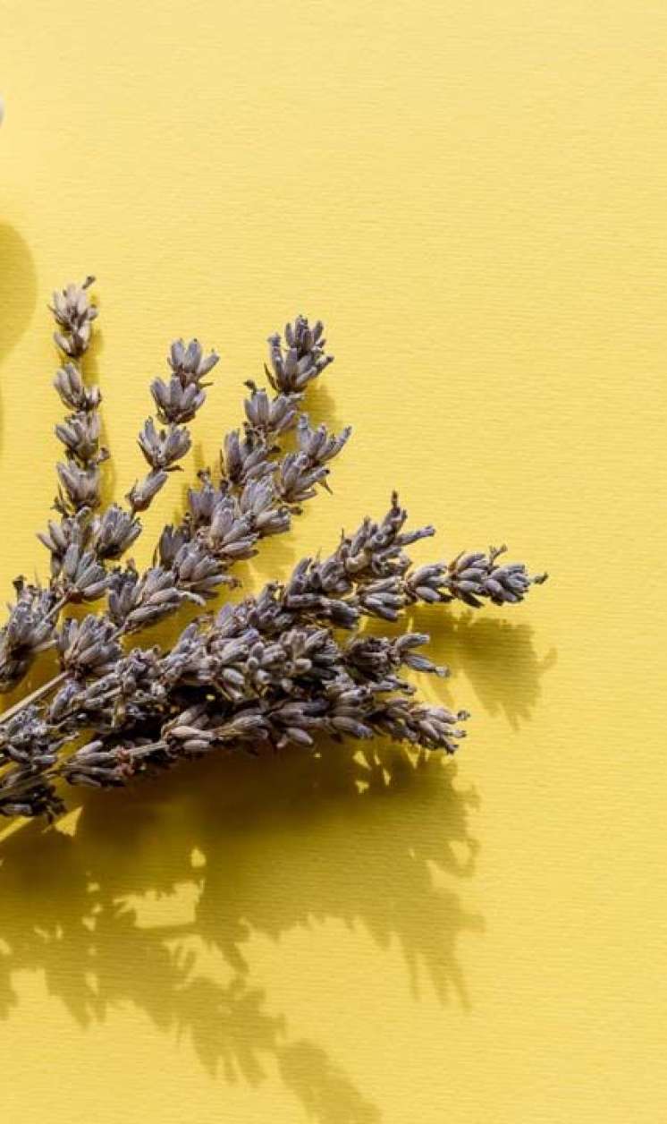 Səhər enerjili oyanmağın ən asan yolu:  Bir damla kifayətdir