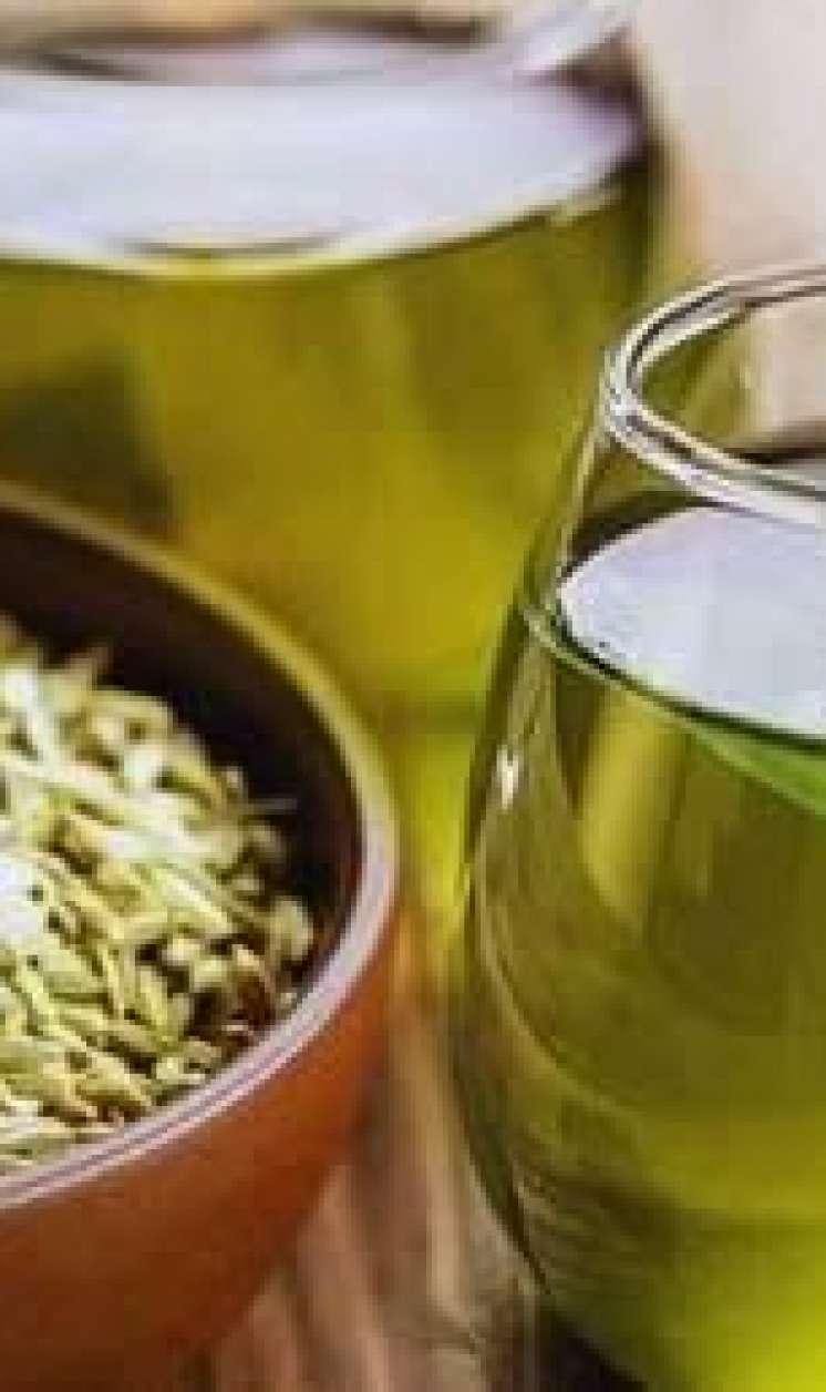 Şüyüd çayı təkcə köp üçün deyil  - Kimlər içməlidir?