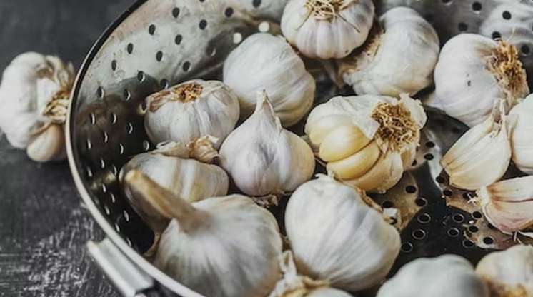  Gündə 2 diş  – ömrü 10 il uzada bilər