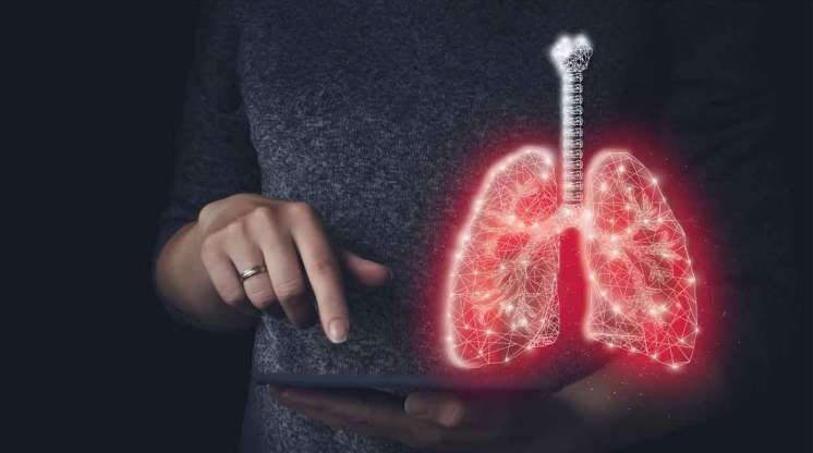 Ağciyərin gizli dərmanı mətbəxdədir:  Təbii təmizləmə resepti