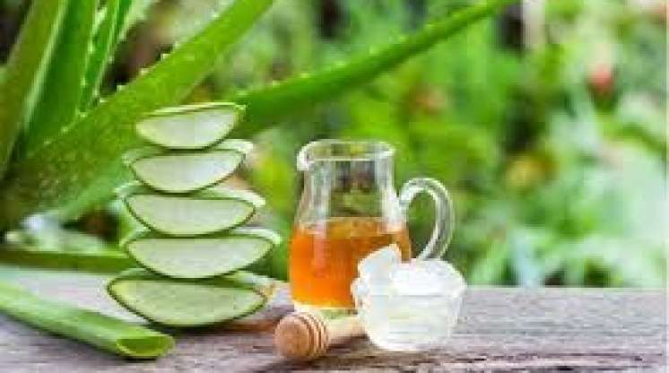 Qorxunc trombları parçalaya biləcək  – Aspirin təsirli qidalar