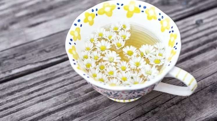 Təhlükəli xəstəliklərdən qoruyan  – Ucuz çay