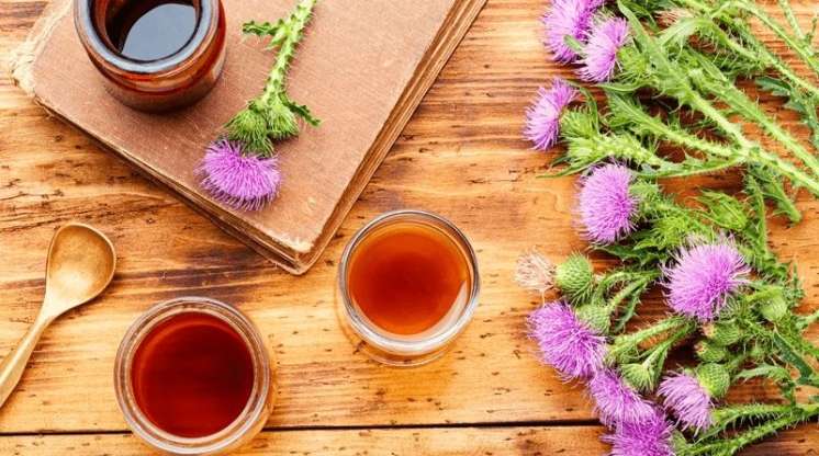 Qaraciyər üçün 5 ən yaxşı    müalicəvi bitki