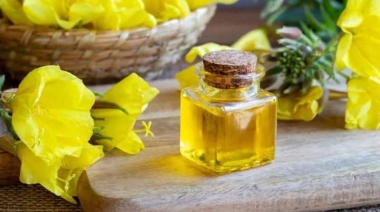 Təbiətin qızıl resepti:  Novruzçiçəyi yağı haqqında bilməli olduqlarınız