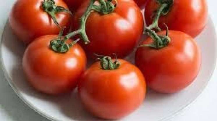 Yayda bol pomidor yeyin  – Xərçəngdən qoruyur 